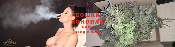 ПСИЛОЦИБИНОВЫЕ ГРИБЫ Балабаново
