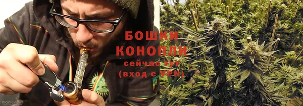 ПСИЛОЦИБИНОВЫЕ ГРИБЫ Балабаново
