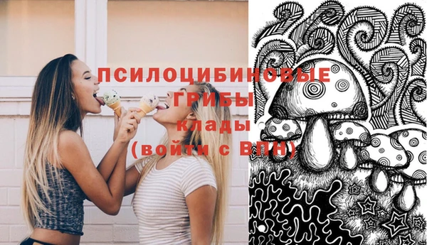 ПСИЛОЦИБИНОВЫЕ ГРИБЫ Балабаново