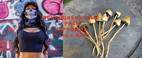 ПСИЛОЦИБИНОВЫЕ ГРИБЫ Балабаново